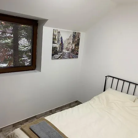 Dvosobni Kopanik, Kopaonik