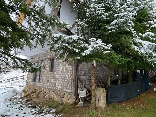 Dvosobni Kopanik, Kopaonik Apartment Brzeće