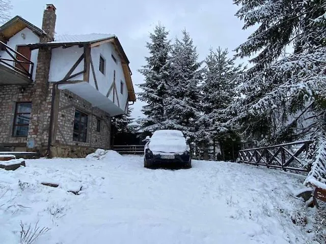 Dvosobni Kopanik, Kopaonik