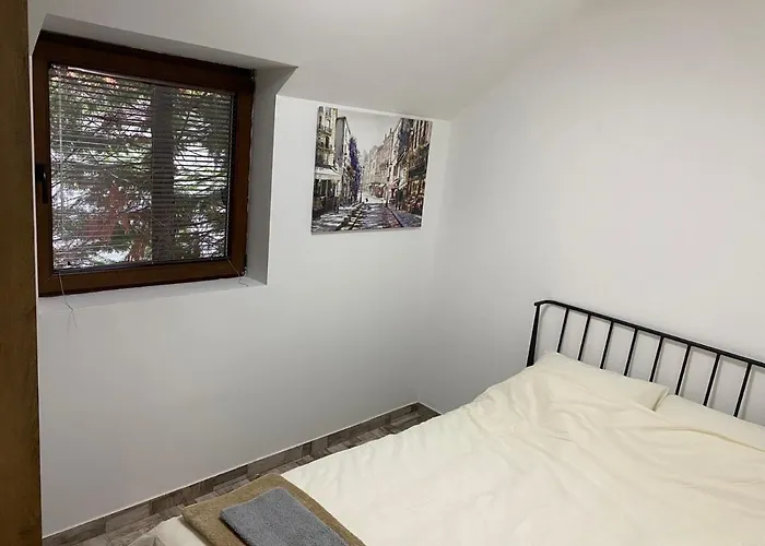 Dvosobni Kopanik, Kopaonik