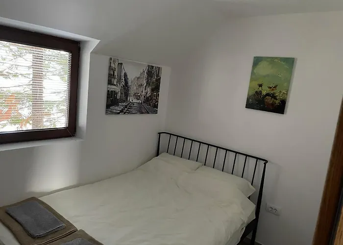 Dvosobni Kopanik, Kopaonik * Brzeće